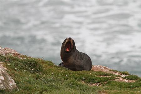 _MG_1427.JPG