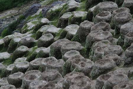 _MG_1388.JPG