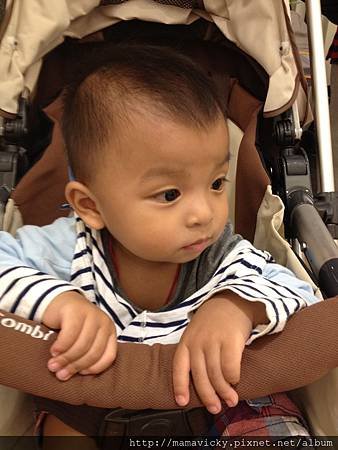 IMG_1784.JPG