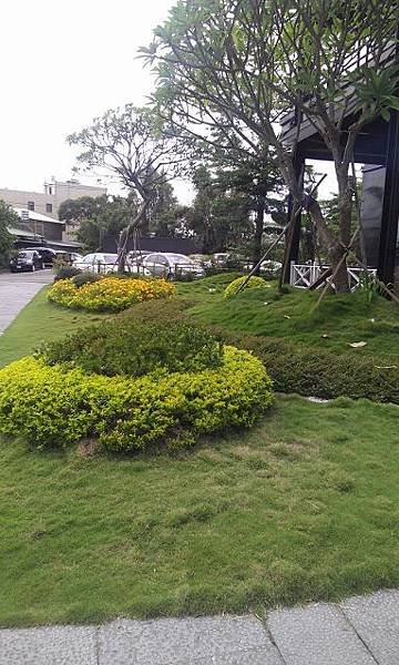 IMAG1591 (383x640).jpg