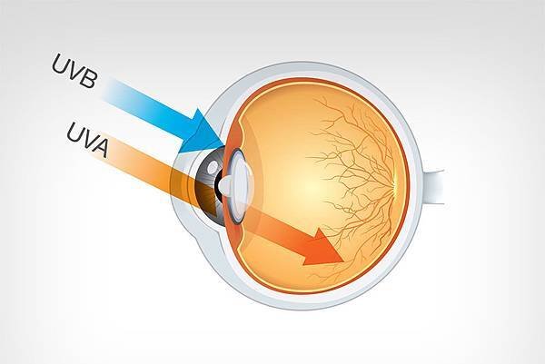 entenda-os-efeitos-da-radiacao-ultravioleta-nos-olhos.jpg