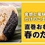 bnr_l_w540_takenokogohan