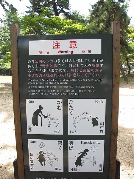 IMG_4116 (480x640).jpg