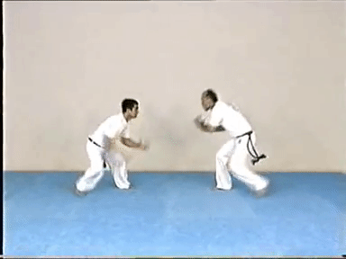 Tesoura de costa-Mestre Paulao Ceara..gif
