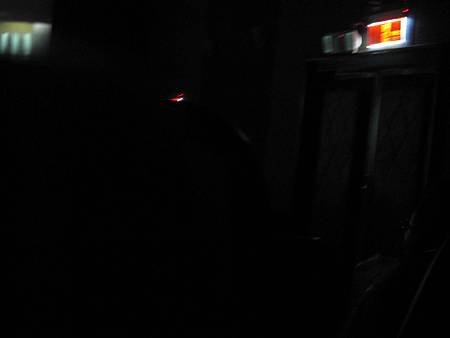 IMG_2091.jpg