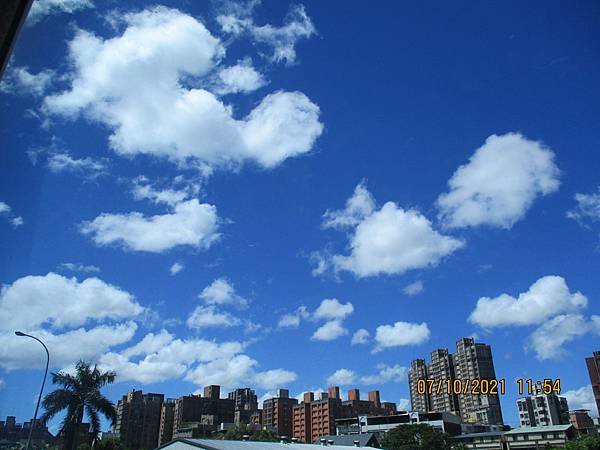 IMG_3180.JPG