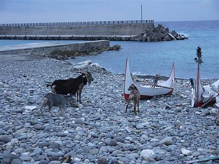 P1000210.JPG