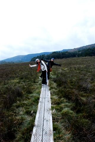 DSC_0177.JPG