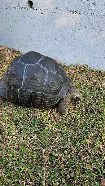 另類動物園