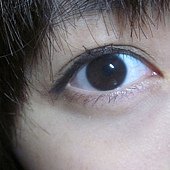 IMG_2562.JPG