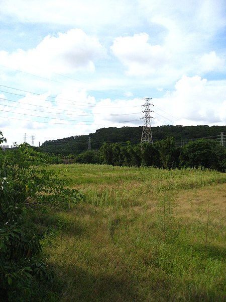 照片 047.jpg