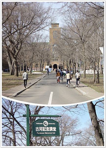 北海道大學.jpg