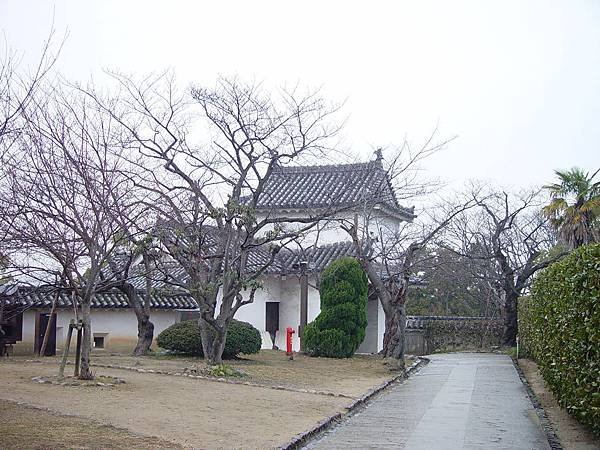 DSC06594