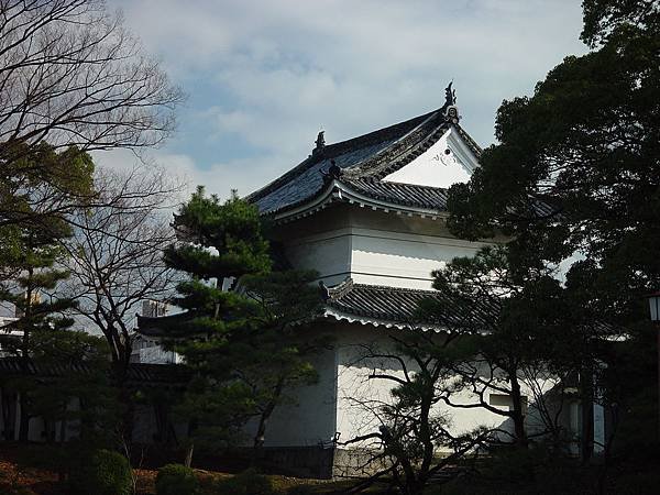 DSC06806
