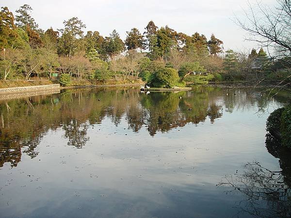 DSC06827