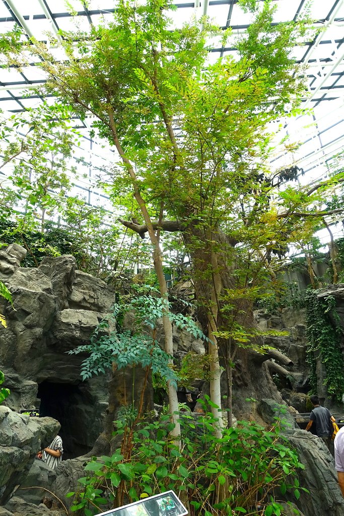 DSC04904.JPG