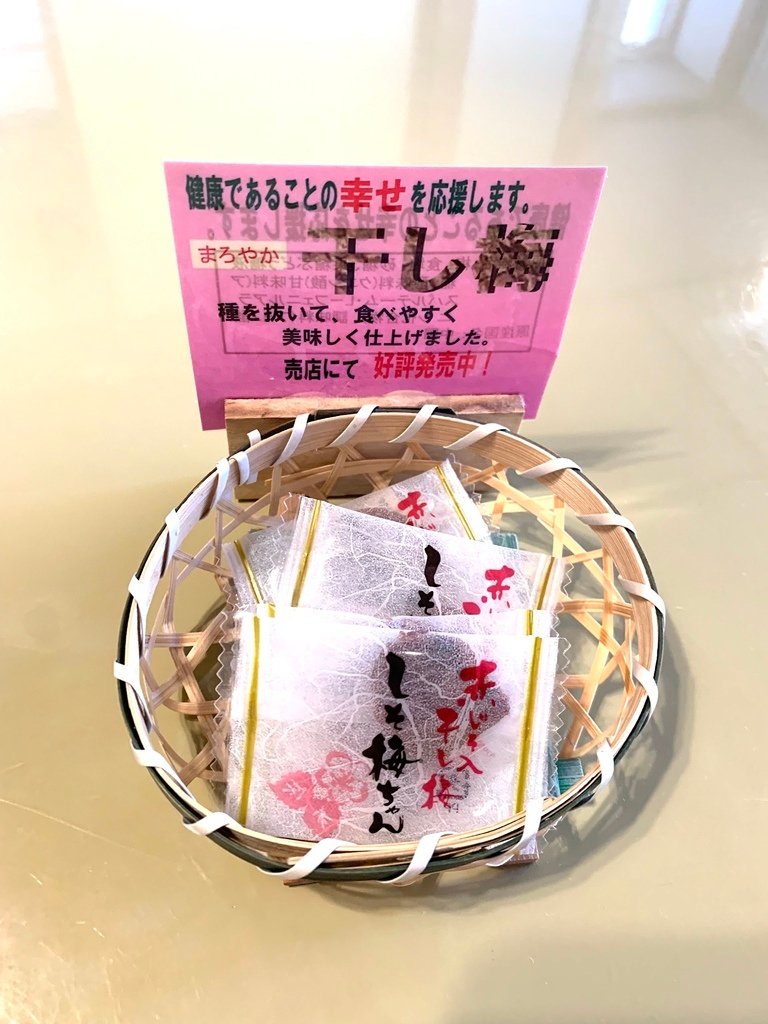 ＜日本＞2023全家人解封日本行~大川莊 穿越鬼滅無限城