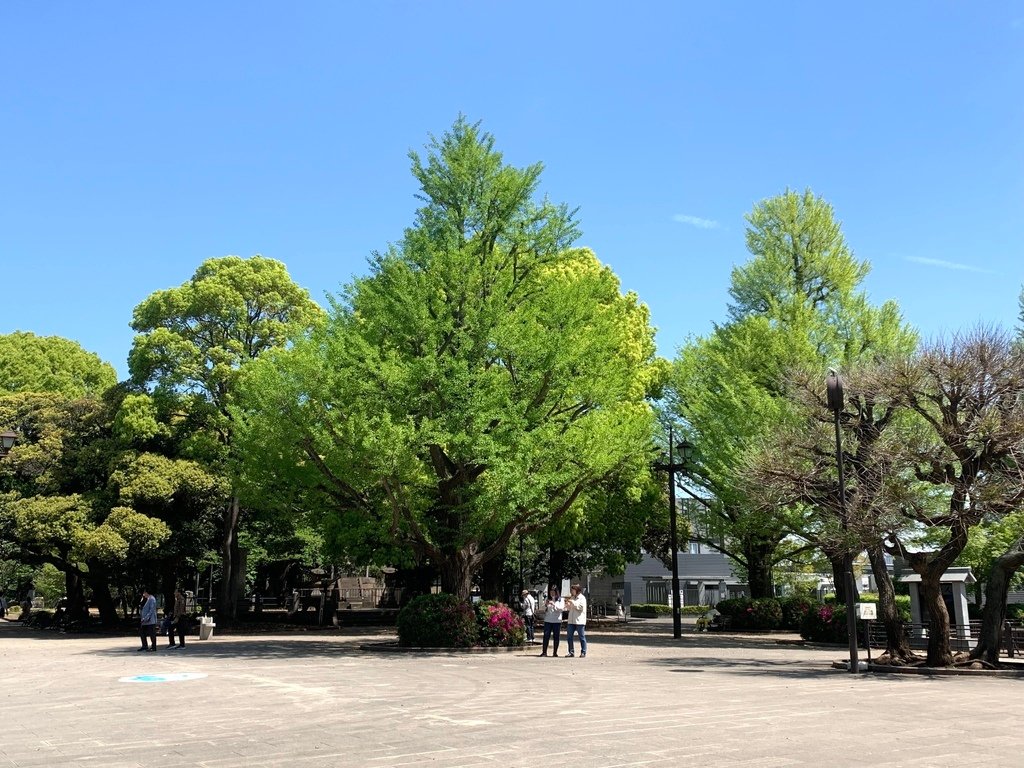 ＜日本＞2023東京放飛自我~上野動物園熱力四射的萌萌們；影