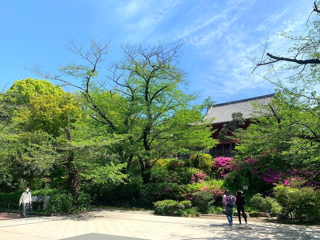 ＜日本＞2023東京放飛自我~上野動物園熱力四射的萌萌們；影