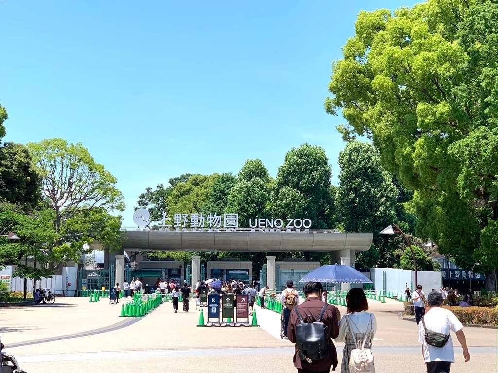 ＜日本＞2023東京放飛自我~上野動物園熱力四射的萌萌們；影