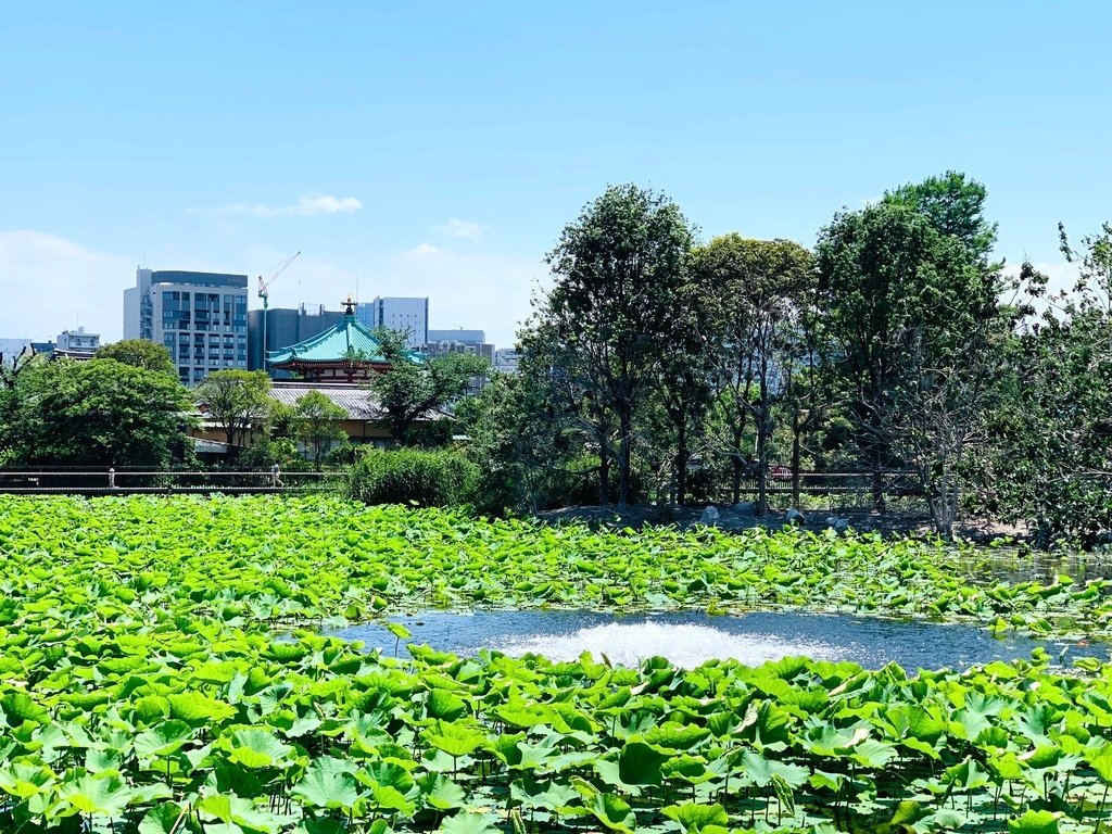 ＜日本＞2023東京放飛自我~上野動物園熱力四射的萌萌們；影