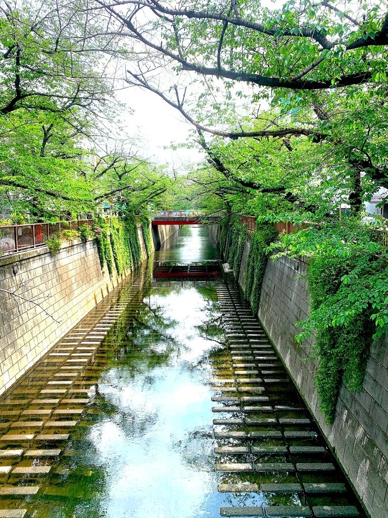 ＜日本＞2023東京放飛自我~星巴克