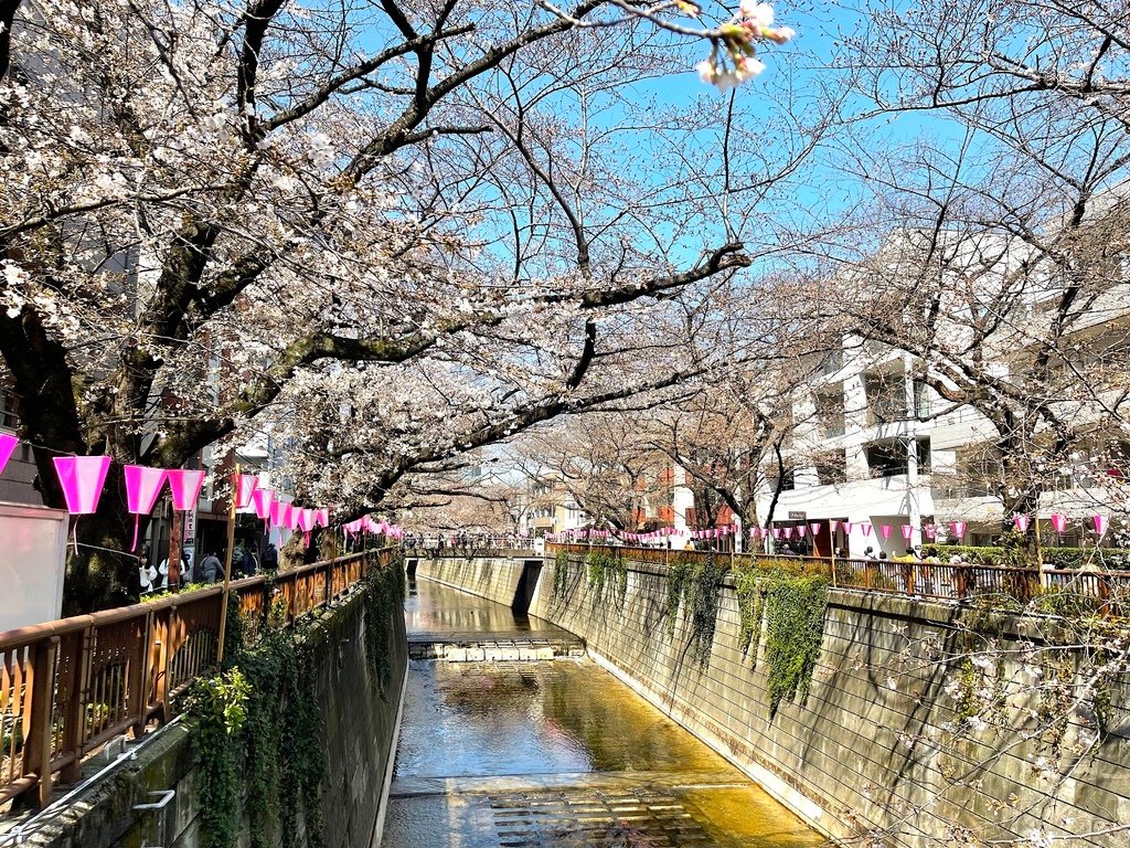 10F89232-3AAE-4CB2-9453-34E566DA9547 拷貝.jpg
