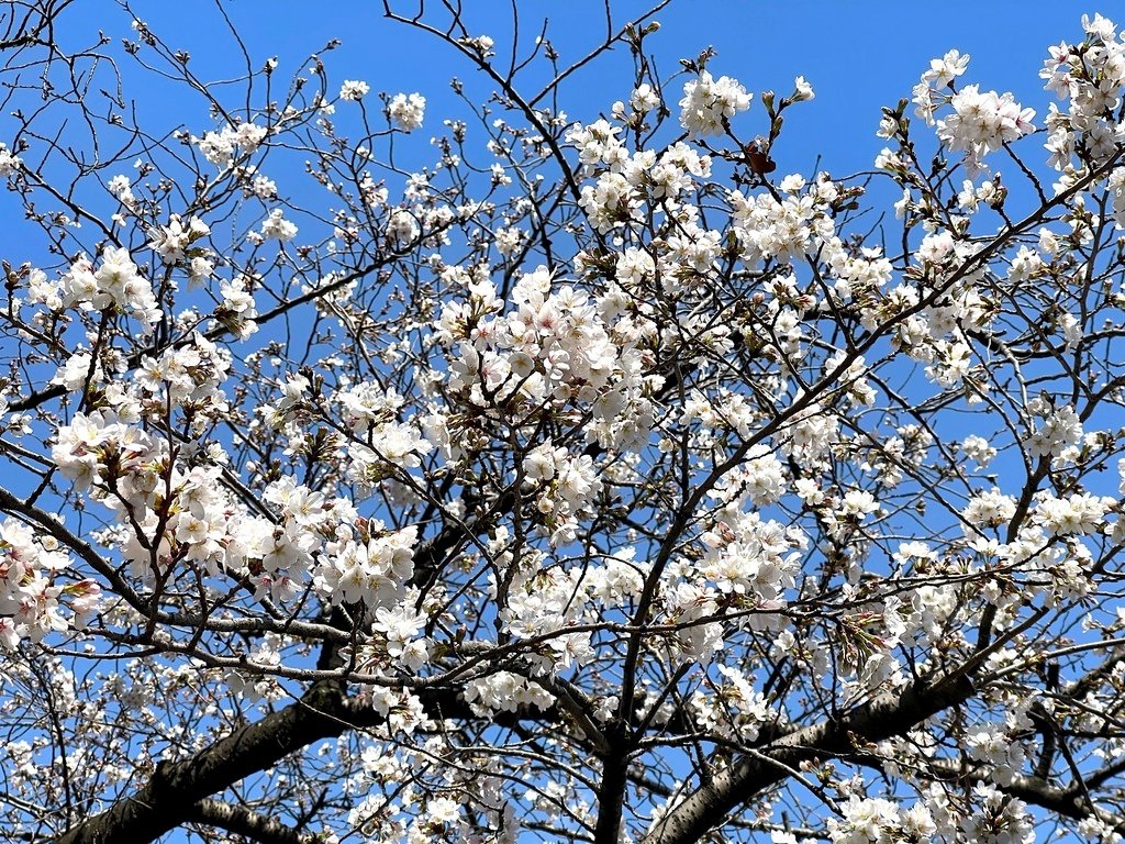 06BACBBF-7C05-471B-A609-1634F6FEF16B 拷貝.jpg