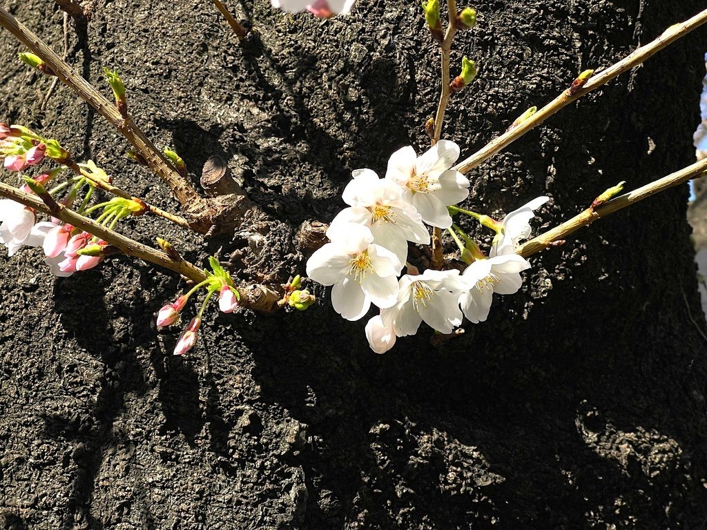 3CFC7B95-9F13-4AC9-B522-B3052545F5DF 拷貝.jpg