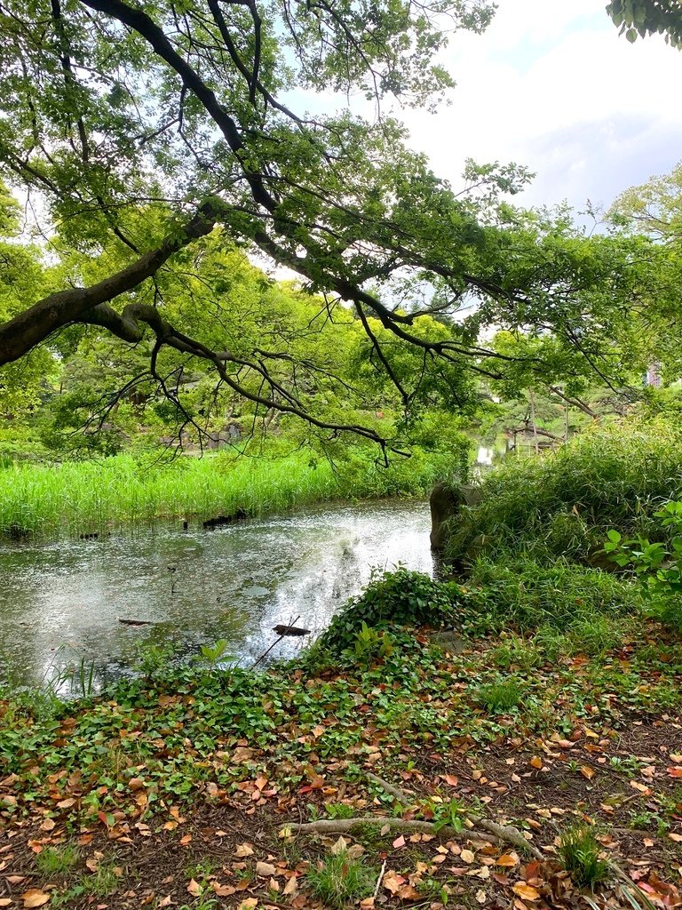 ＜日本＞2023東京放飛自我~日比谷公園、東京中城日比谷東京