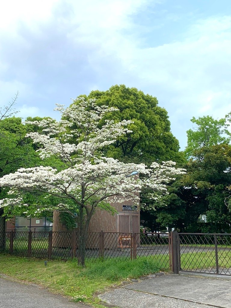 ＜日本＞2023東京放飛自我~日比谷公園、東京中城日比谷東京