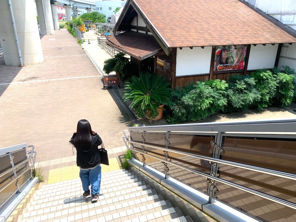 ＜日本＞2023關西~神戶動物王國（照片多），不怕天氣，玩飽