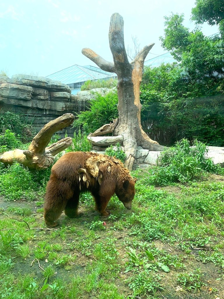 ＜日本＞2023關西~神戶動物王國（照片多），不怕天氣，玩飽