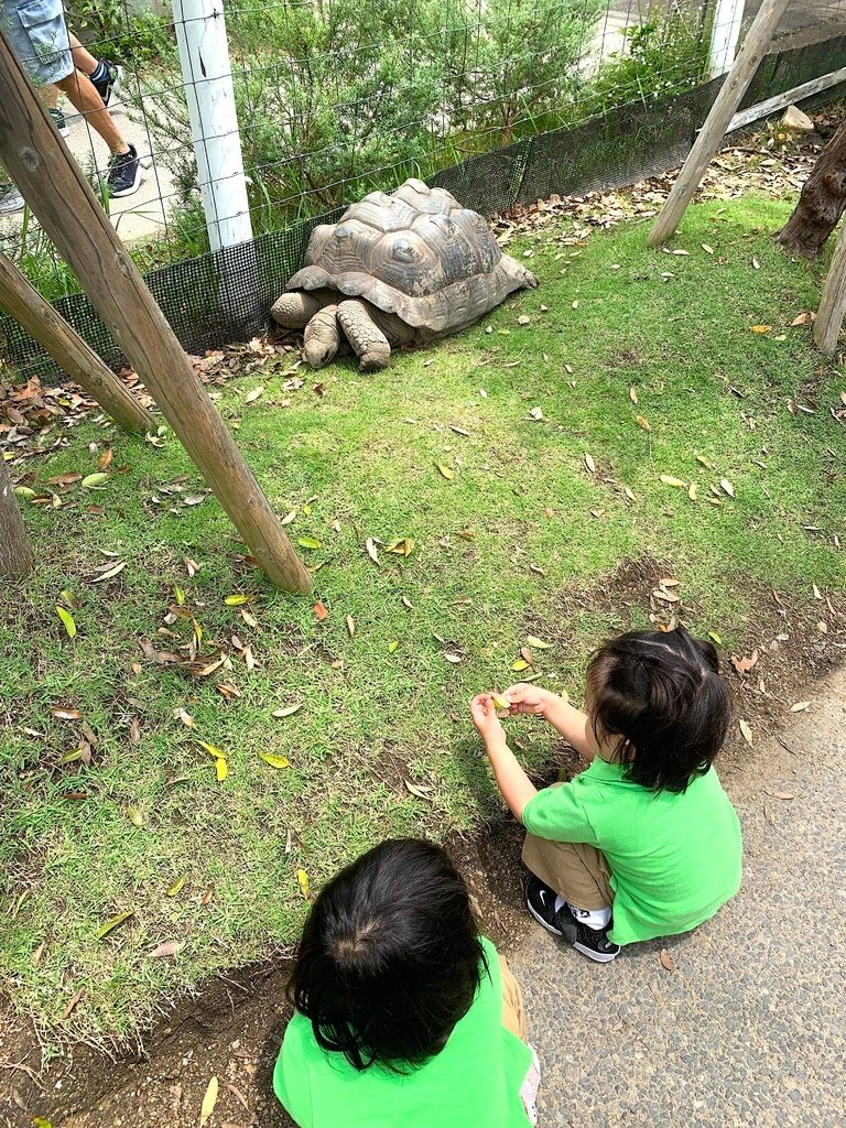 ＜日本＞2023關西~神戶動物王國（照片多），不怕天氣，玩飽