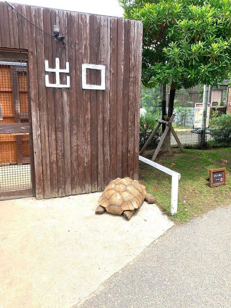 ＜日本＞2023關西~神戶動物王國（照片多），不怕天氣，玩飽