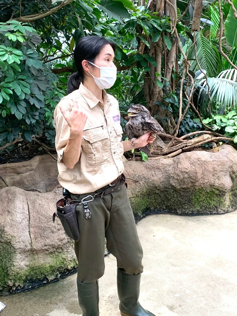 ＜日本＞2023關西~神戶動物王國（照片多），不怕天氣，玩飽