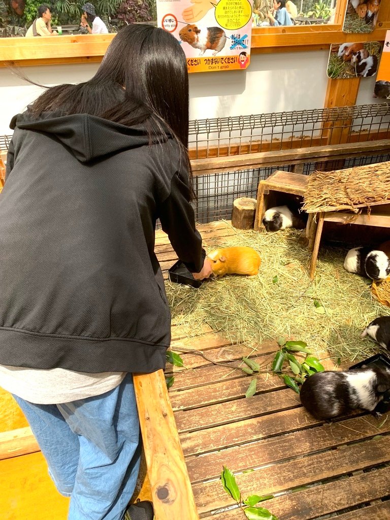 ＜日本＞2023關西~神戶動物王國（照片多），不怕天氣，玩飽