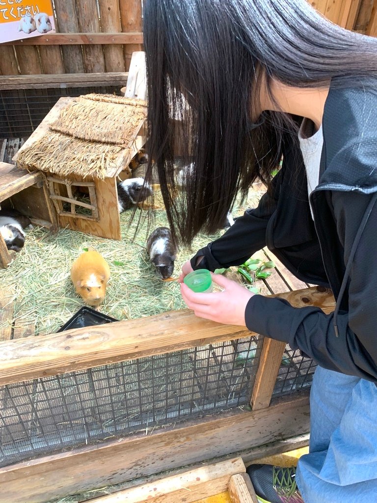 ＜日本＞2023關西~神戶動物王國（照片多），不怕天氣，玩飽