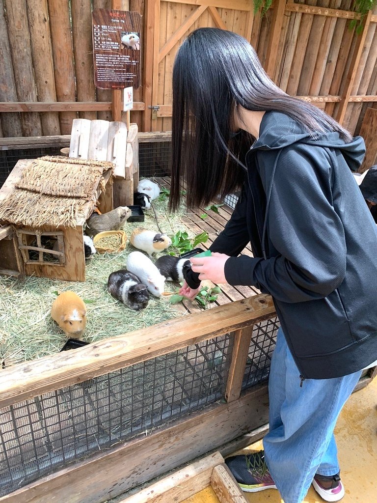 ＜日本＞2023關西~神戶動物王國（照片多），不怕天氣，玩飽