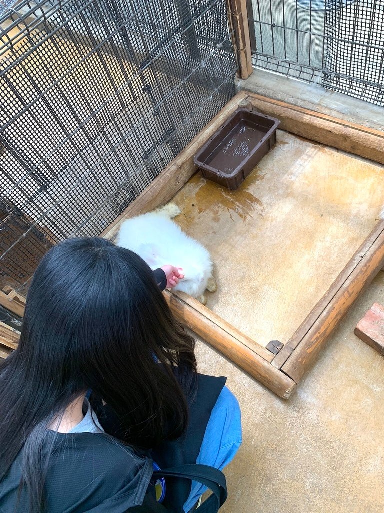 ＜日本＞2023關西~神戶動物王國（照片多），不怕天氣，玩飽