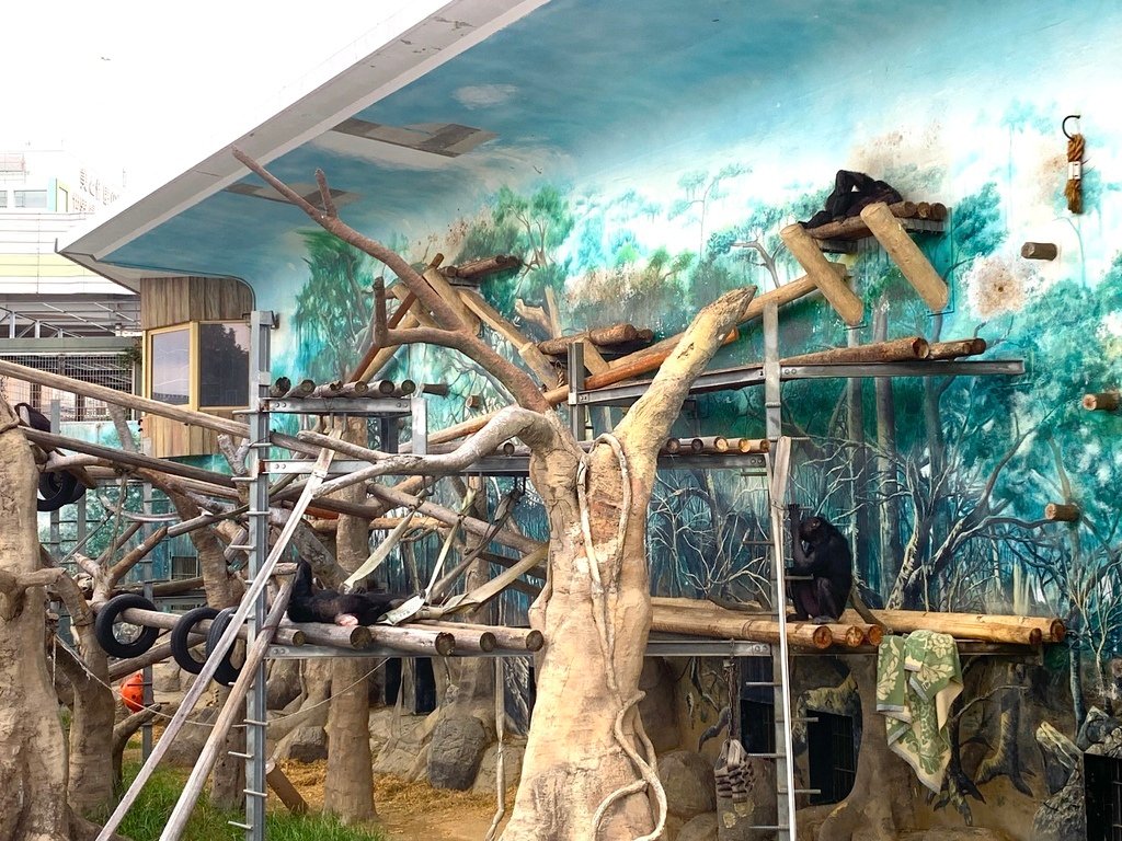 ＜日本＞2023關西~天王寺公園動物園、天王寺安利美特、利久