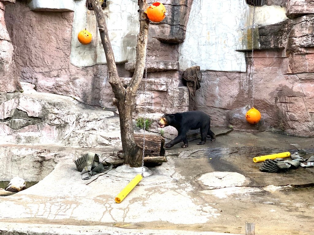 ＜日本＞2023關西~天王寺公園動物園、天王寺安利美特、利久