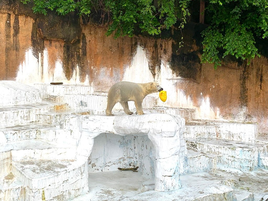 ＜日本＞2023關西~天王寺公園動物園、天王寺安利美特、利久
