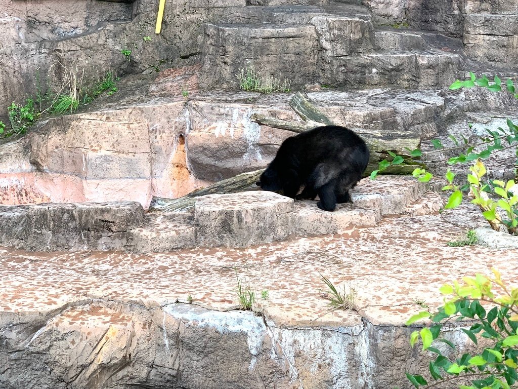 ＜日本＞2023關西~天王寺公園動物園、天王寺安利美特、利久