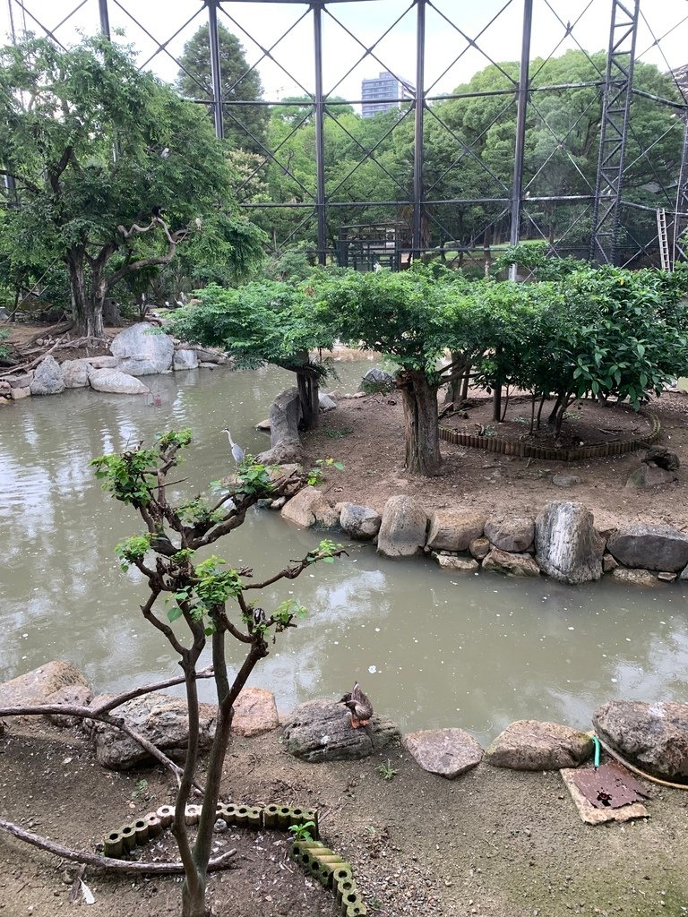 ＜日本＞2023關西~天王寺公園動物園、天王寺安利美特、利久