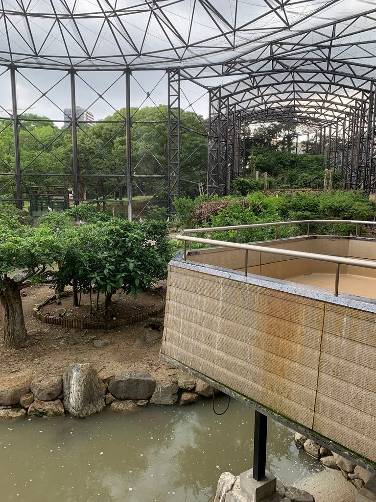 ＜日本＞2023關西~天王寺公園動物園、天王寺安利美特、利久