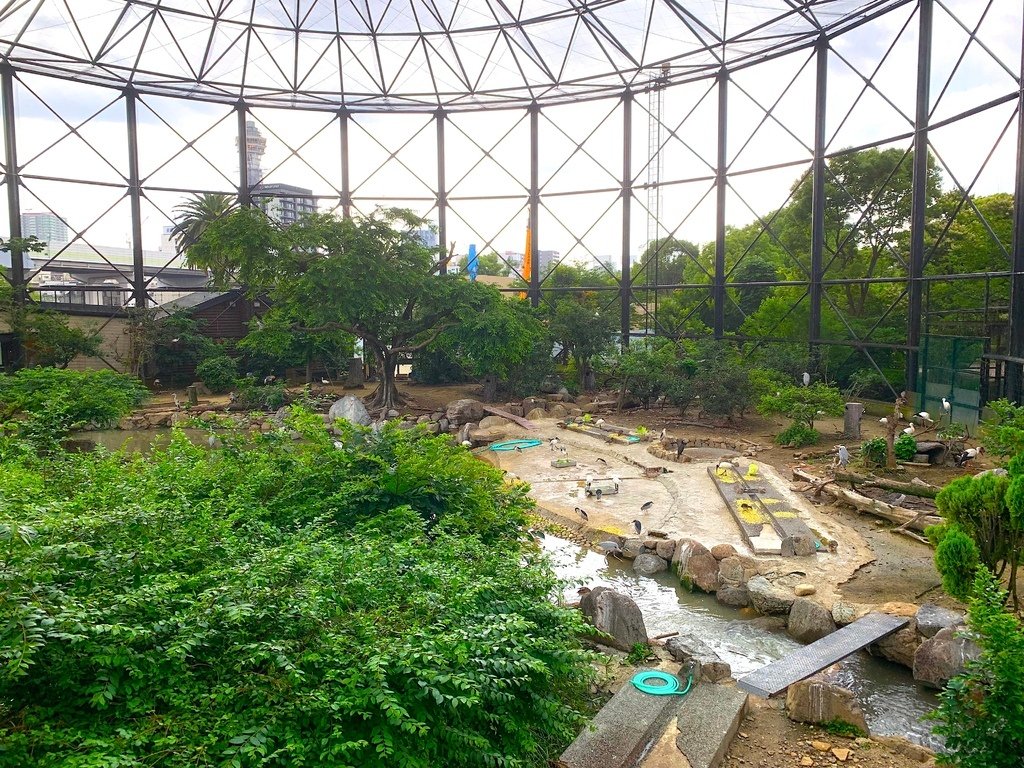 ＜日本＞2023關西~天王寺公園動物園、天王寺安利美特、利久
