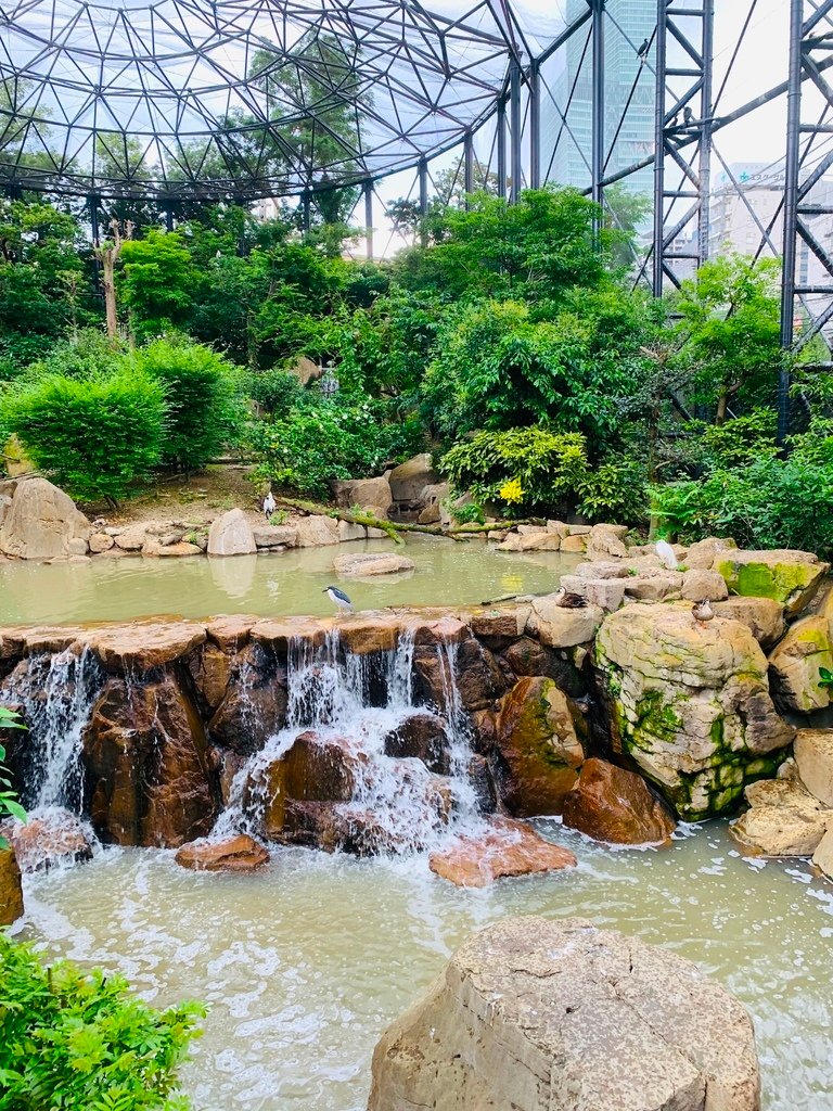 ＜日本＞2023關西~天王寺公園動物園、天王寺安利美特、利久
