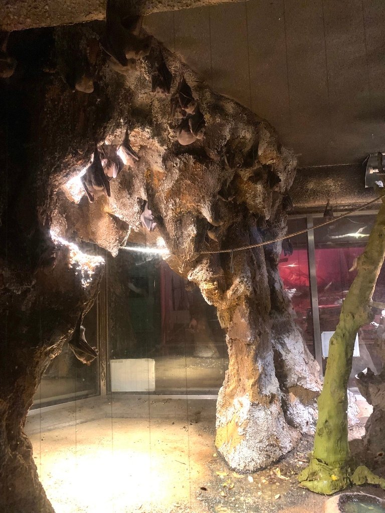 ＜日本＞2023關西~天王寺公園動物園、天王寺安利美特、利久