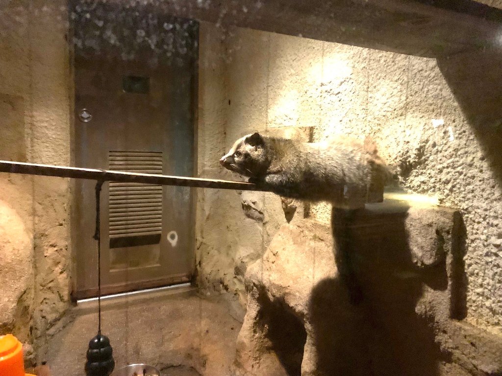 ＜日本＞2023關西~天王寺公園動物園、天王寺安利美特、利久